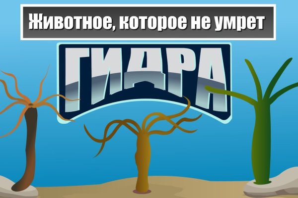 Кракен супернет только через стор