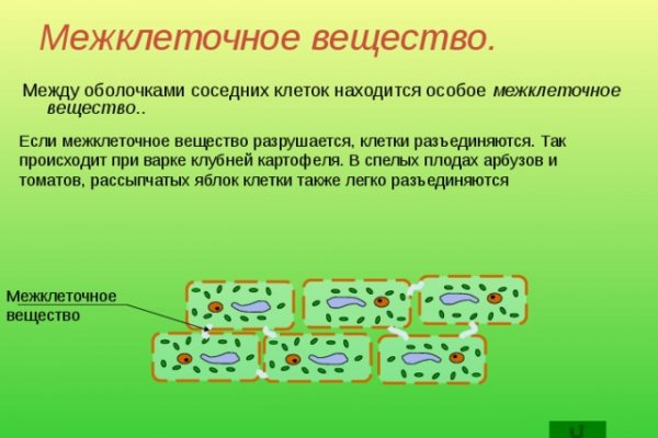Забыл пароль от кракен